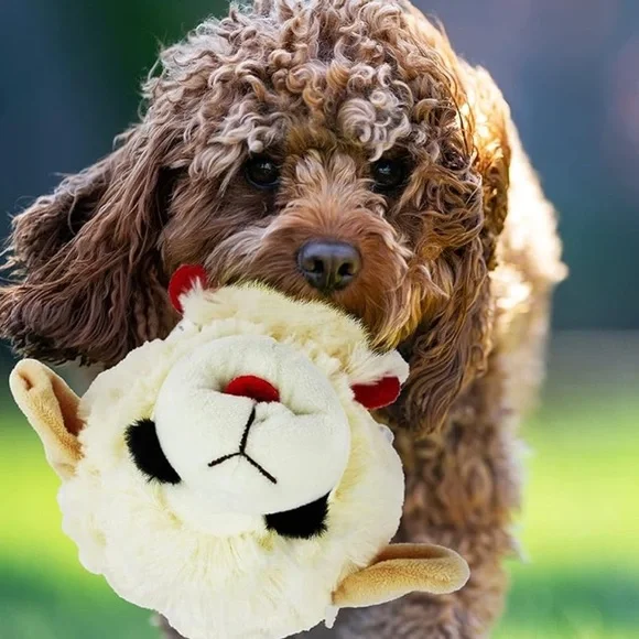 Multipet Lamb Chop Head Dog Ball Squeaky Toy - Picture 3 of 5